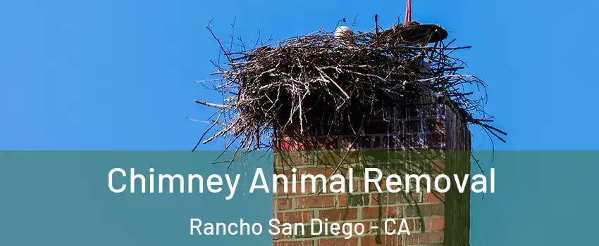 Chimney Animal Removal Rancho San Diego - CA