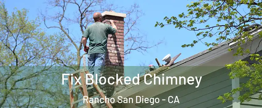  Fix Blocked Chimney Rancho San Diego - CA