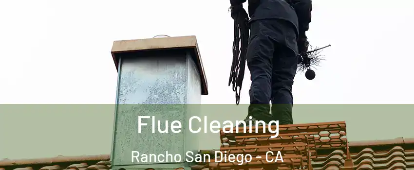  Flue Cleaning Rancho San Diego - CA