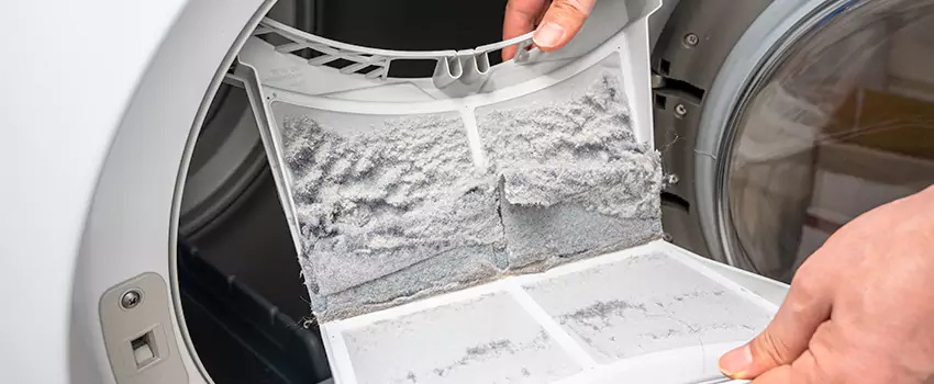 Best Dryer Lint Removal Company in Rancho San Diego, California