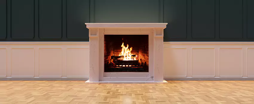 Napoleon Electric Fireplaces Inspection Service in Rancho San Diego, California