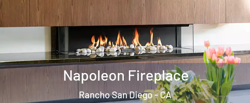  Napoleon Fireplace Rancho San Diego - CA